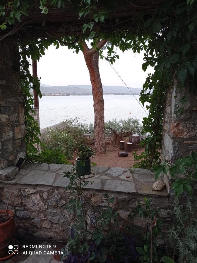 Natali'S Villa By The Sea Kato Gatzea Exterior foto